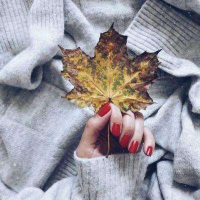 必赢亚洲手机app下载