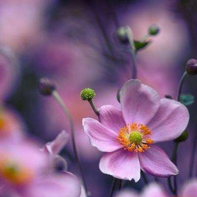 星空体育2024下载下载手机版