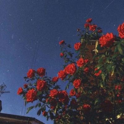 大发黄金版888下载下载手机版截图