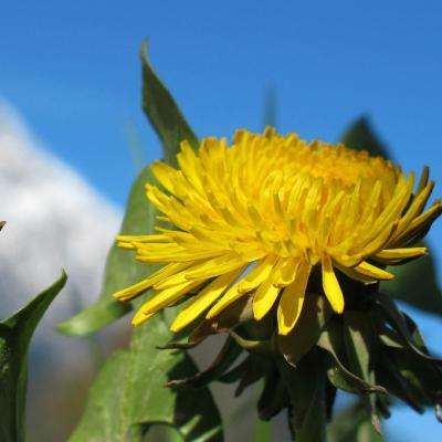 云开·全站APPkaiyun