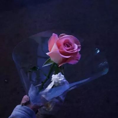 百姓彩票Welcome·官方网站